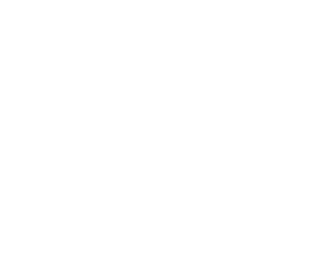 PIONEERS emblem